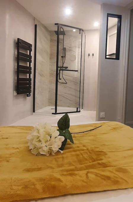 Suite Vinicole Hypercentre, Bastille & Gare 9 Min A Pied Grenoble Extérieur photo